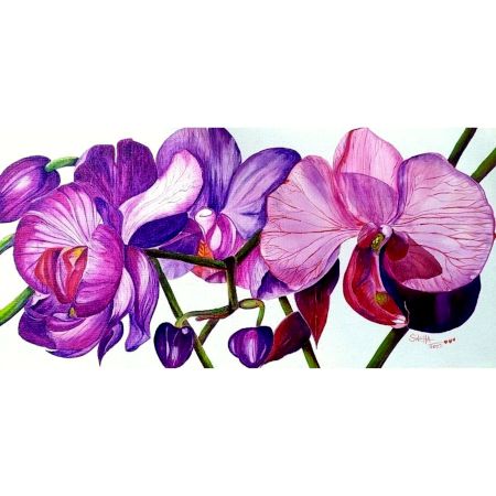 Orchid Flowers Canvas Painting by Artist Snehaprava Maharana